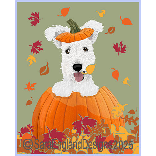 Pumi - Pumpkin-White