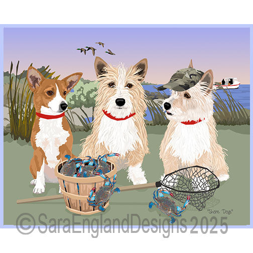 Portuguese Podengo Pequeno - Shore Dogs