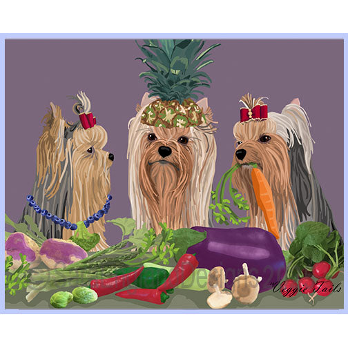 Yorkshire Terrier (Yorkie) - Veggie Tails 3-Show