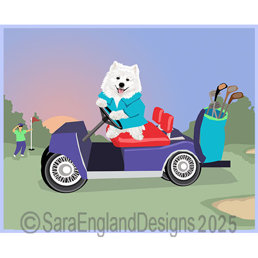 American Eskimo - In The Ruff