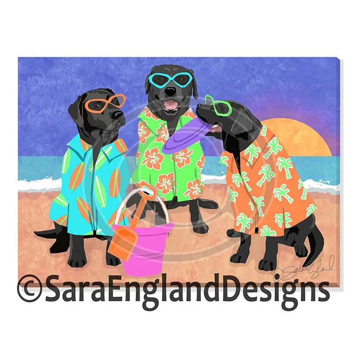 Airedale Terrier - Beach Dogz