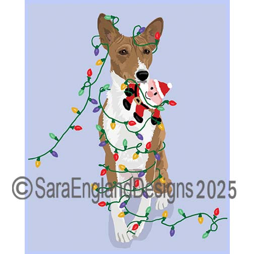 Basenji - Naughty