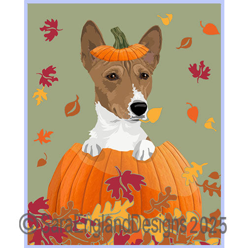 Basenji - Pumpkin