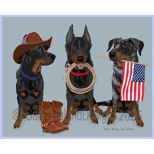 Beauceron - Red, White & Chew