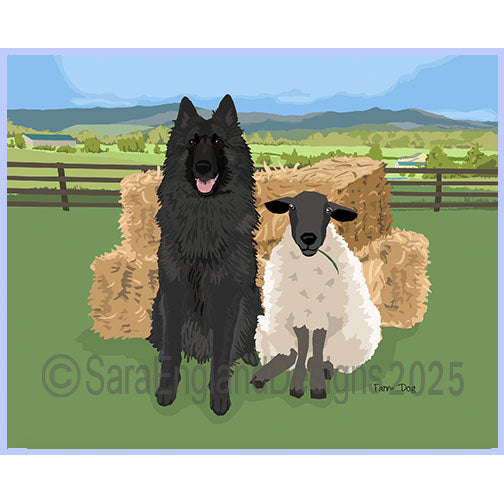 Belgian Sheepdog - Farm Dog