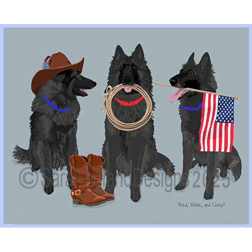 Belgian Sheepdog - Red, White & Chew
