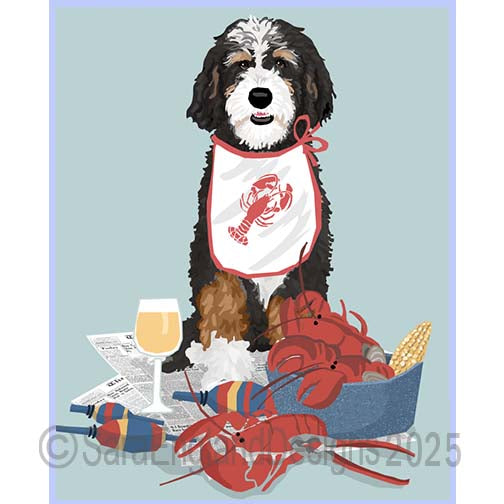Doodle - Bernedoodle - Lobster-Single