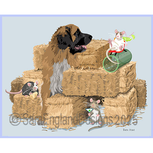 Leonberger - Barn Hunt