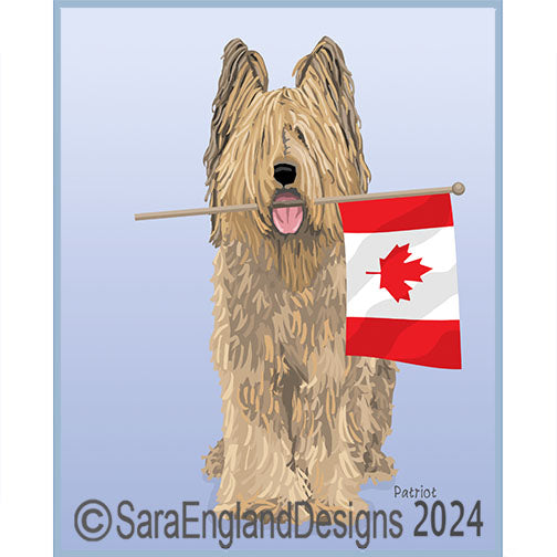 Briard - Patriot-Canada