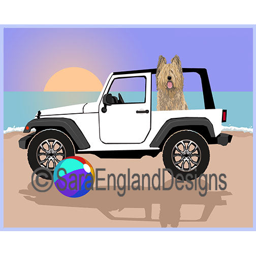 Briard - Off Road