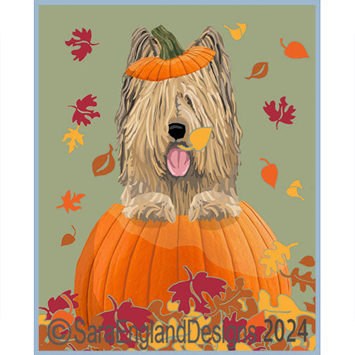 Briard  - Pumpkin
