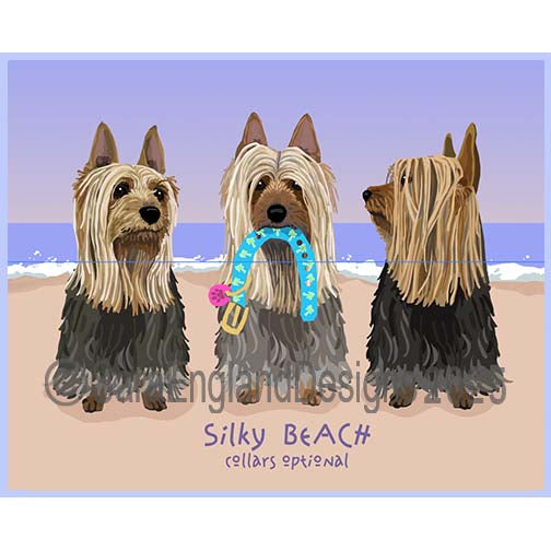 Silky Terrier - Collars Optional