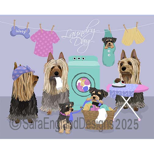 Silky Terrier - Laundry Day
