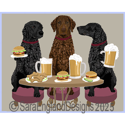 Curly Coated Retriever - Cheers-Mix Liver