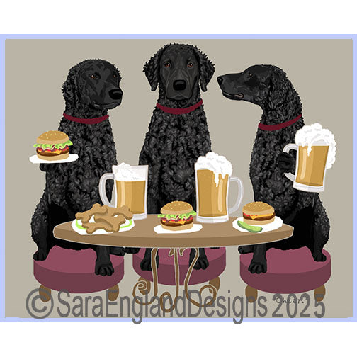 Curly Coated Retriever - Cheers-Black