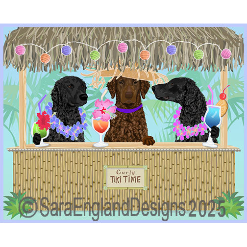 Curly Coated Retriever - Tiki Time-Mix Liver