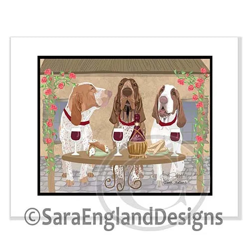 Bracco Italiano - Italia