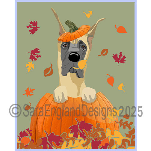 Great Dane - Pumpkin