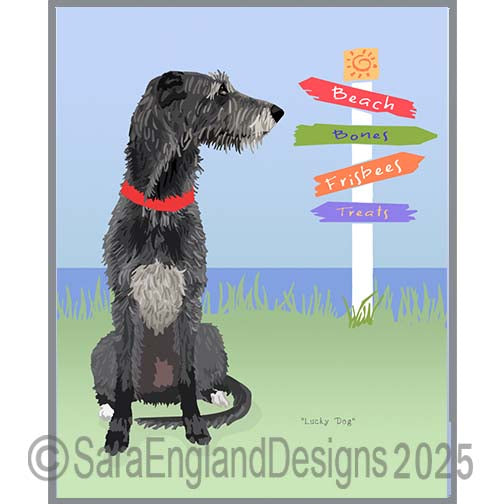 Scottish Deerhound - Lucky Dog