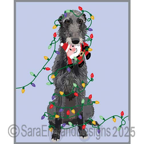 Scottish Deerhound - Naughty