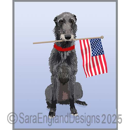Scottish Deerhound - Patriot