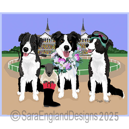 Border Collie - Derby Dogs