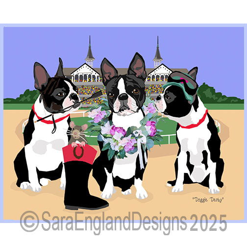 Boston Terrier - Derby Dogs