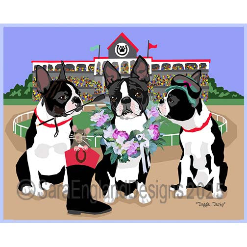Boston Terrier - Derby Dogs