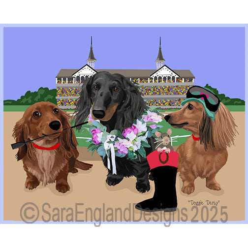 Dachshund-Long Hair - Derby Dogs