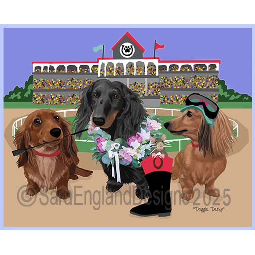 Dachshund-Long Hair - Derby Dogs