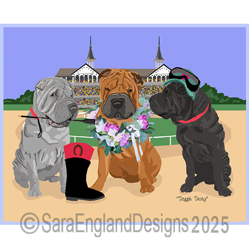 Shar-Pei - Derby Dogs