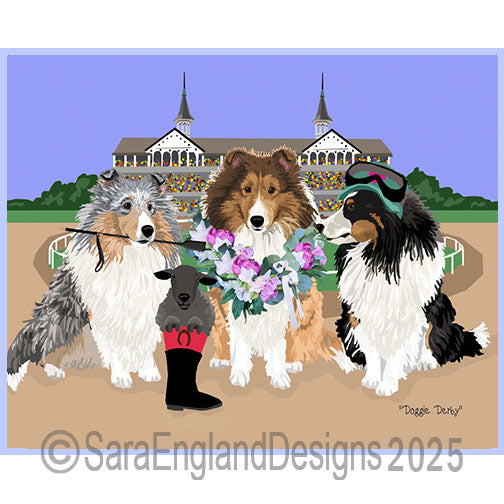 Shetland Sheepdog - Derby Dogs