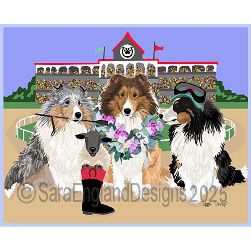 Shetland Sheepdog - Derby Dogs