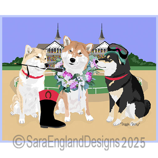 Shiba Inu - Derby Dogs