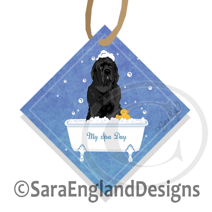 Affenpincher - My Spa Day