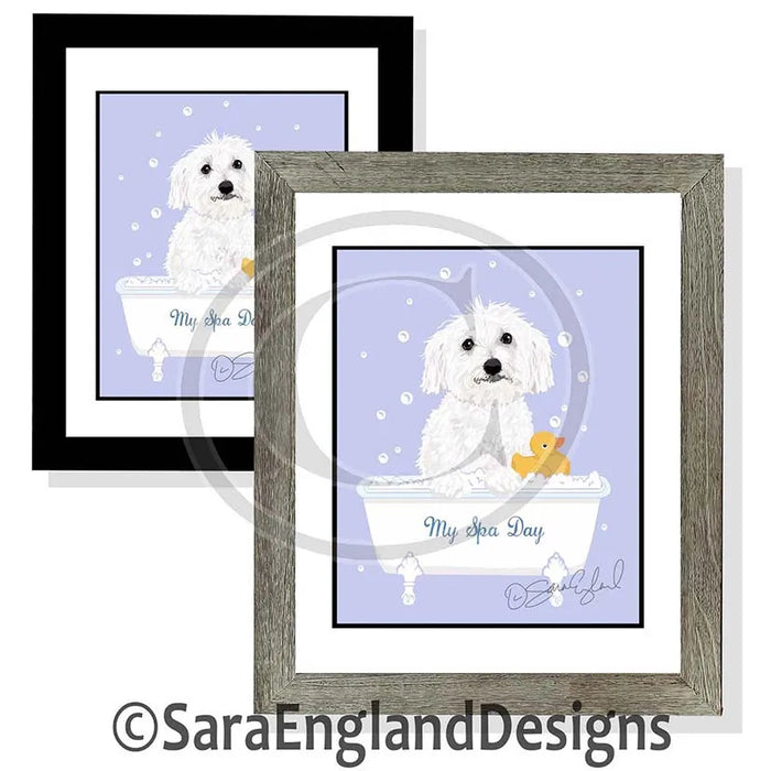 Bearded Collie - My Spa Day
