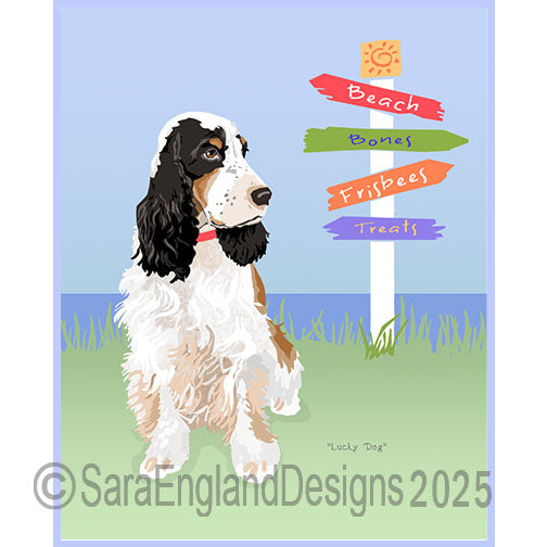English Cocker Spaniel - Lucky Dog