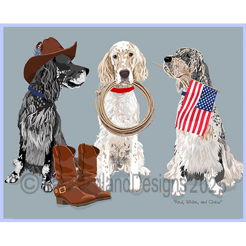 English Setter - Red, White & Chew