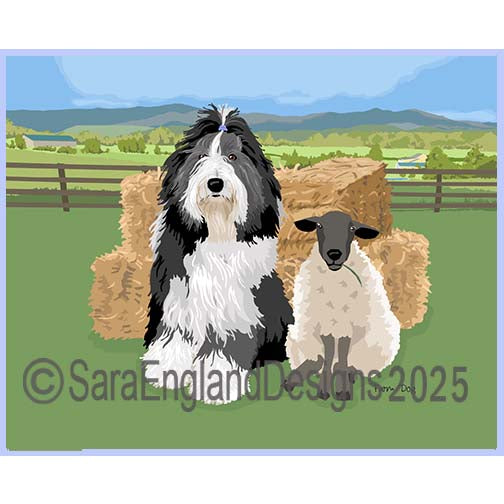 Bearded Collie - Farm Dog