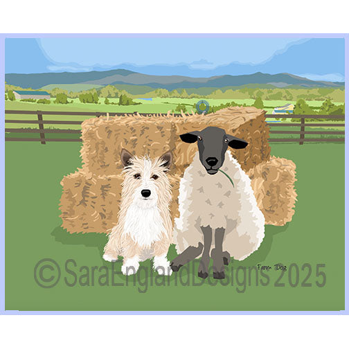 Portuguese Podengo Pequeno - Farm Dog-Wire