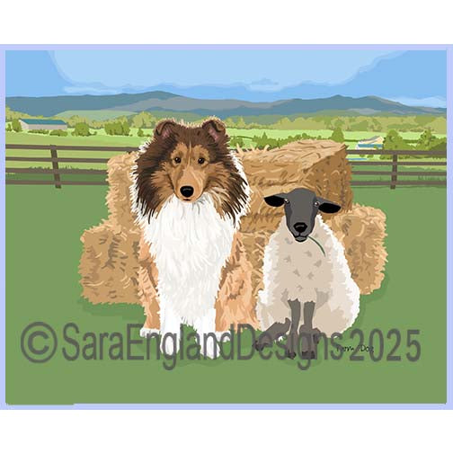 Shetland Sheepdog - Farm Dog