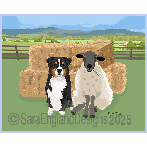 Miniature American Shepherd - Farm Dog