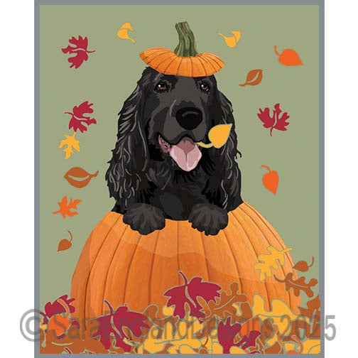 Field Spaniel - Pumpkin