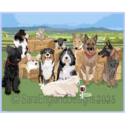 All Mixed Up - Field of Dreams-Herding