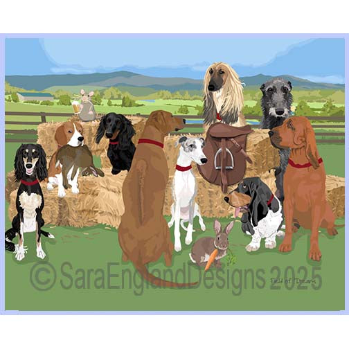 Best In Shows - Field of Dreams-Hound