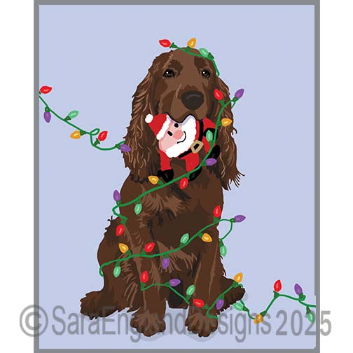 Field Spaniel - Naughty-Liver