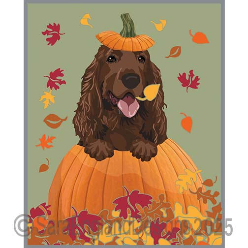 Field Spaniel - Pumpkin-Liver