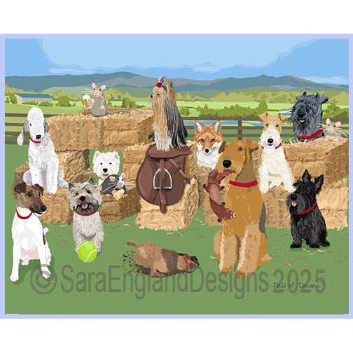 Best In Shows - Field of Dreams-Terrier