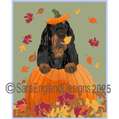 Gordon Setter - Pumpkin