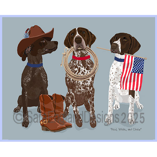 German Shorthaired Pointer - Red, White & Chew